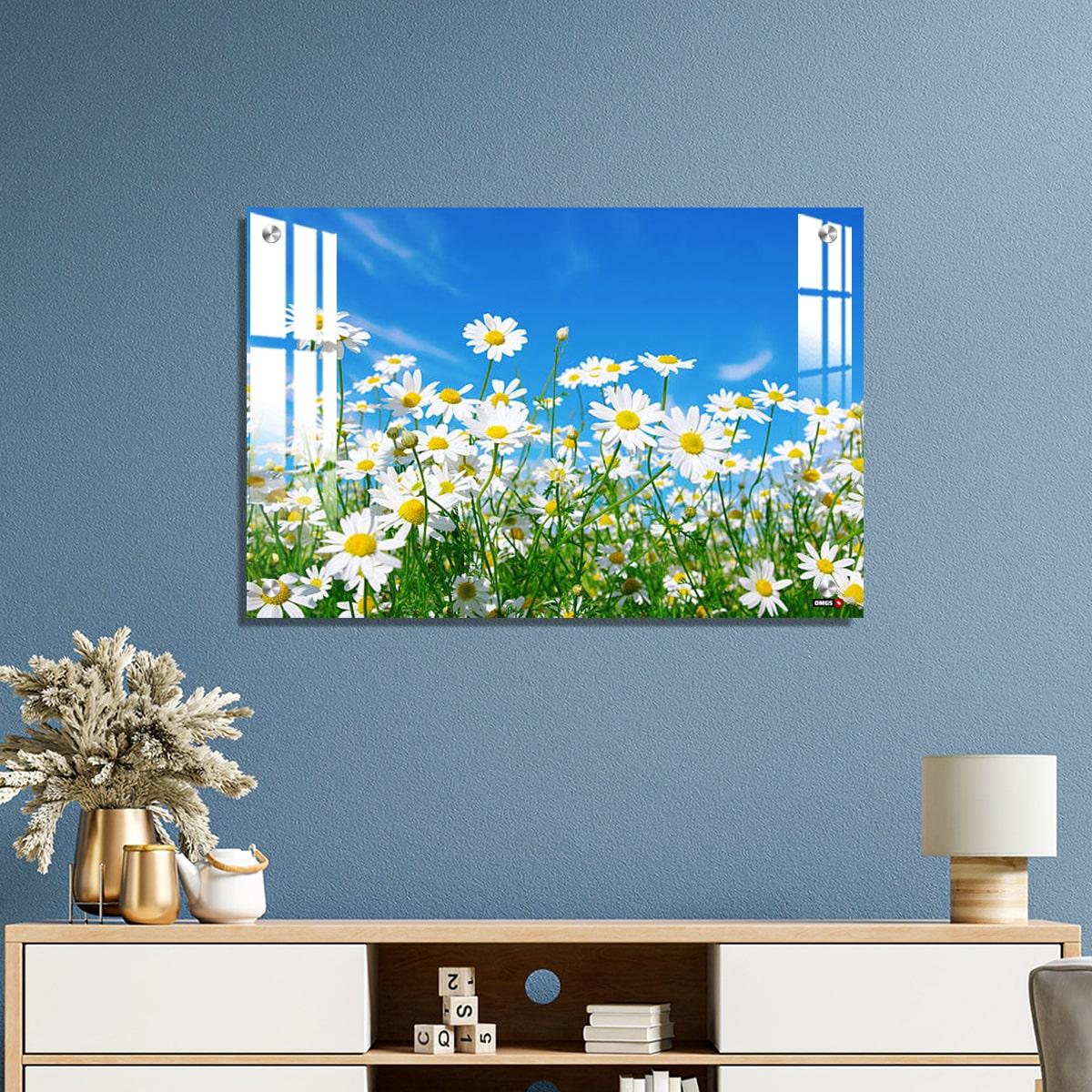 OMGs Acrylic Wall Decor - White Daisies