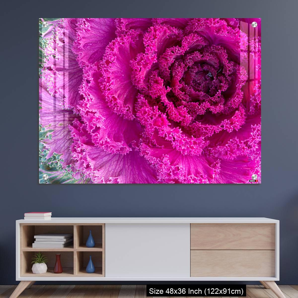 OMGs Acrylic Wall Decor – Purple ornamental kale close-up