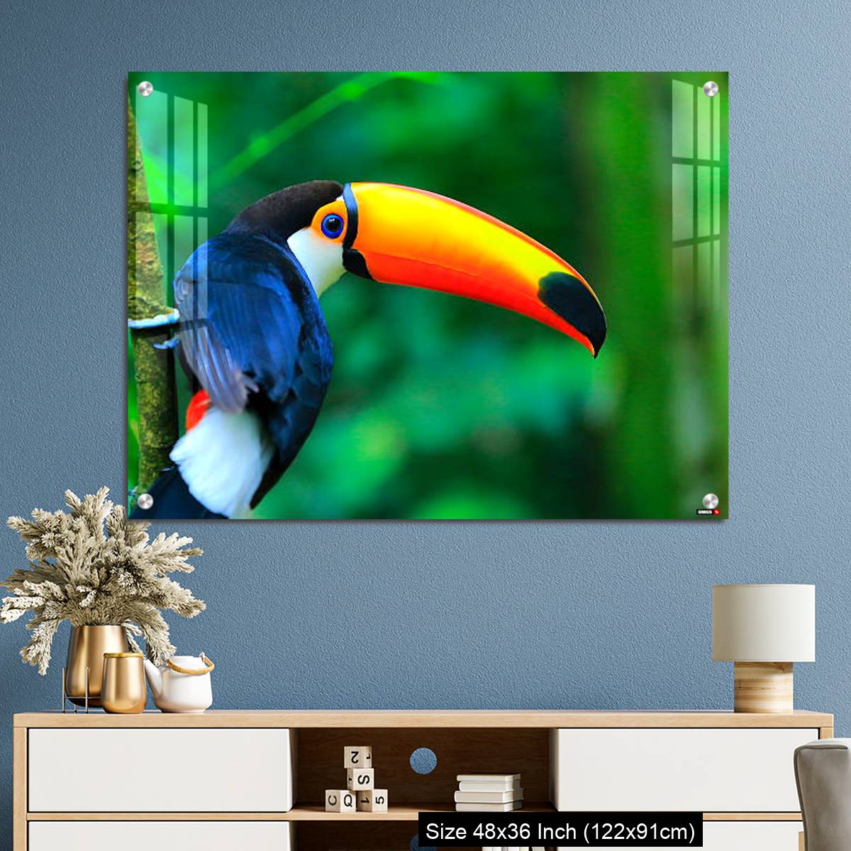 OMGs Acrylic Wall Decor – Colorful cute Toucan tropical bird - Image 3
