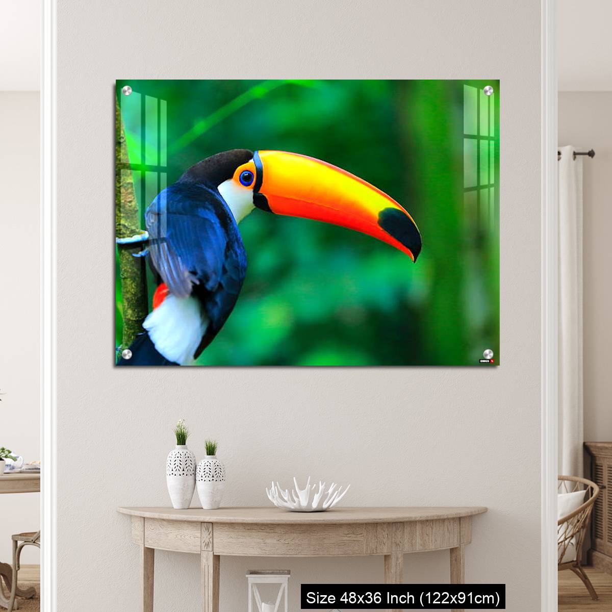 OMGs Acrylic Wall Decor – Colorful cute Toucan tropical bird - Image 5