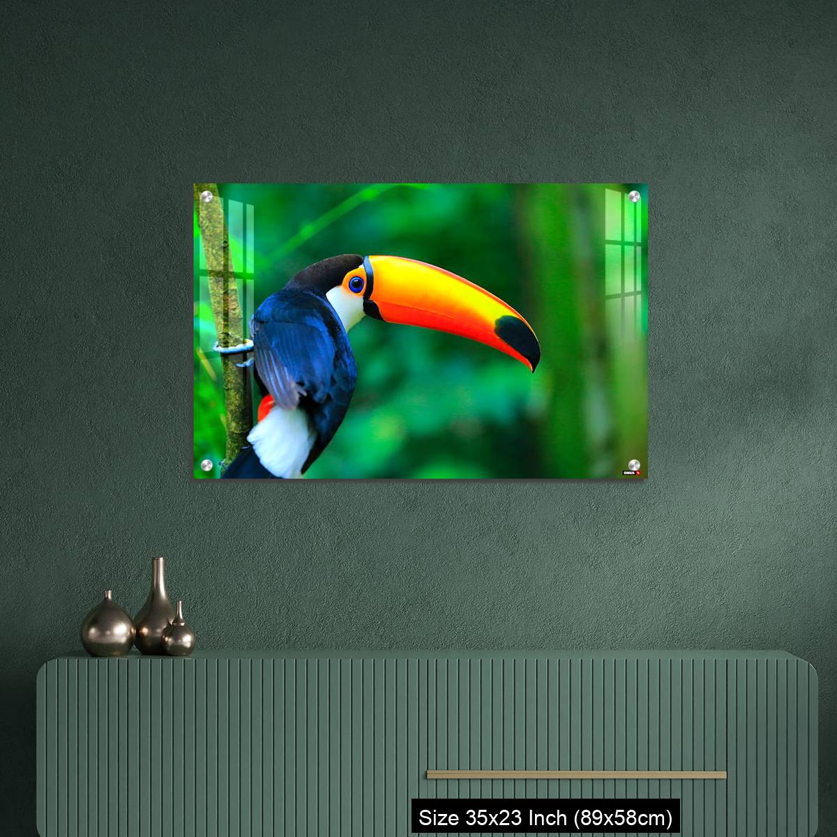 OMGs Acrylic Wall Decor – Colorful cute Toucan tropical bird - Image 9