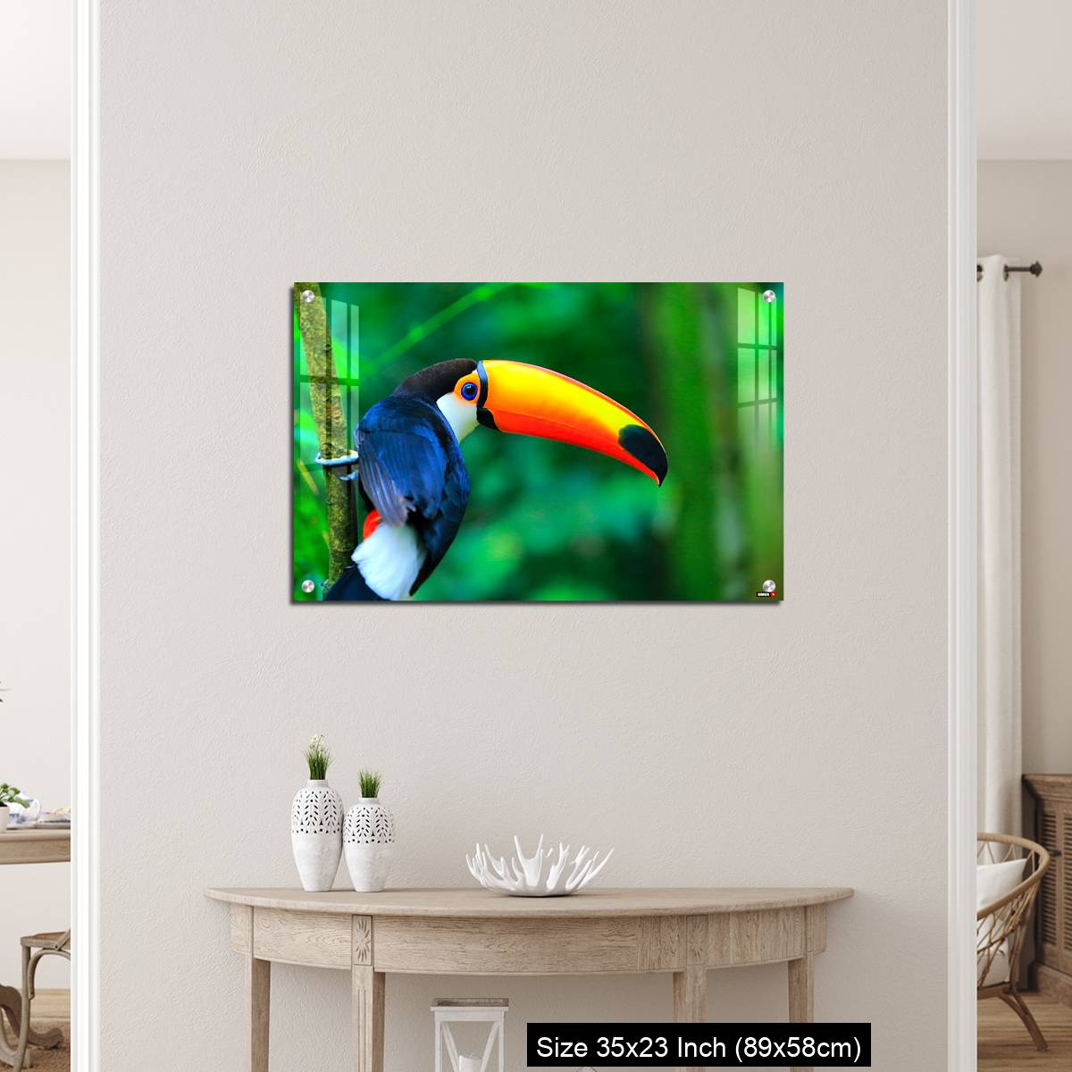 OMGs Acrylic Wall Decor – Colorful cute Toucan tropical bird - Image 12