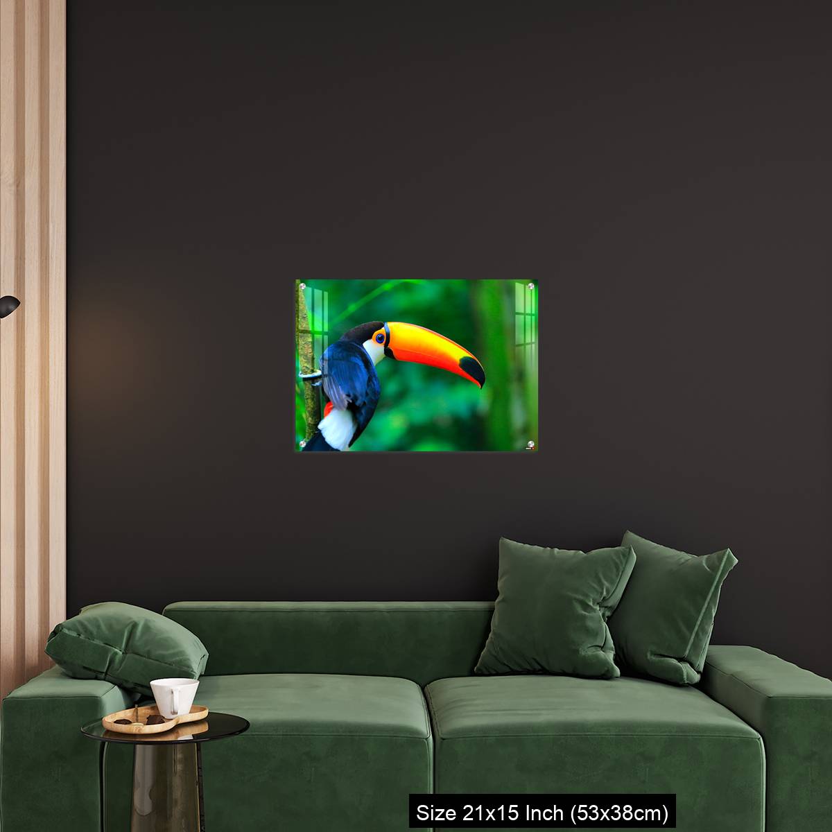 OMGs Acrylic Wall Decor – Colorful cute Toucan tropical bird - Image 18
