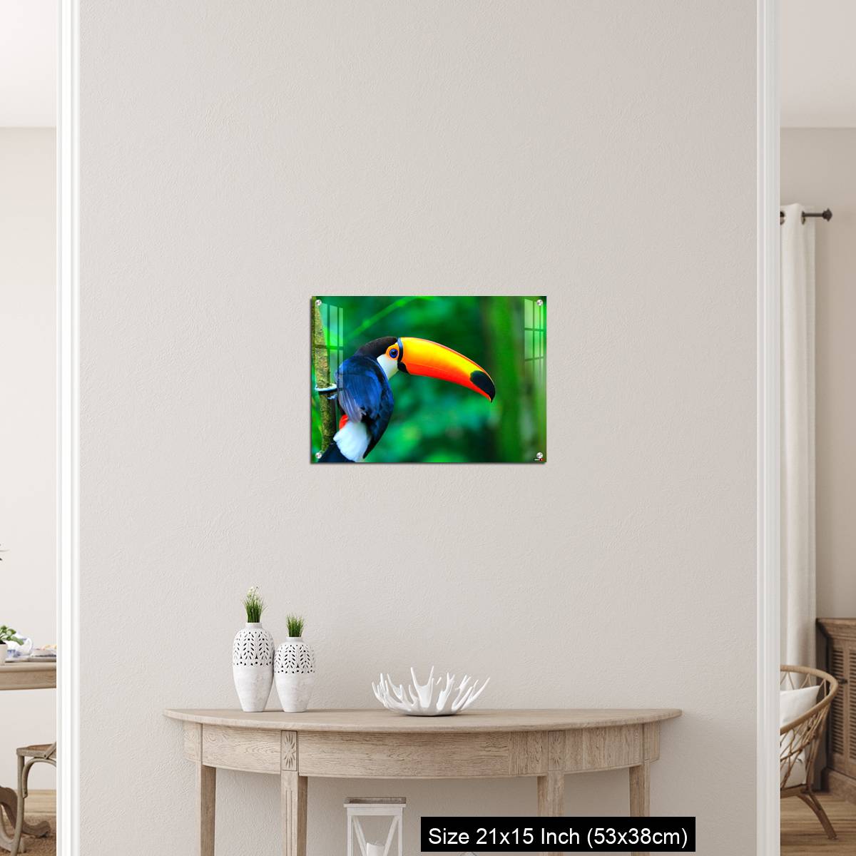 OMGs Acrylic Wall Decor – Colorful cute Toucan tropical bird - Image 19