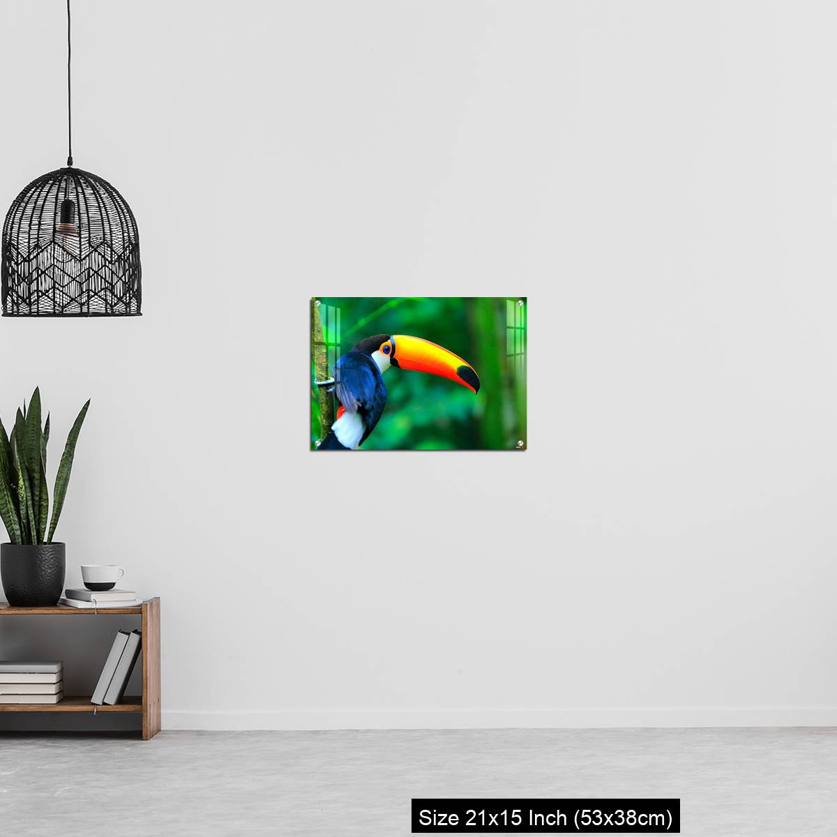 OMGs Acrylic Wall Decor – Colorful cute Toucan tropical bird - Image 20